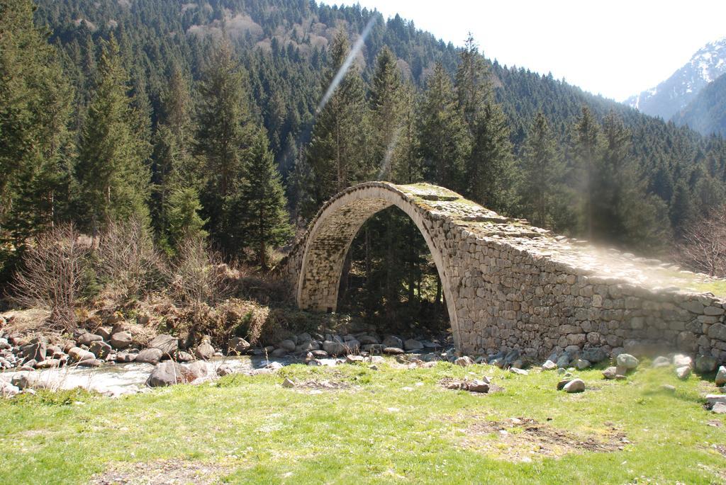 Ayder Umit Hotel מראה חיצוני תמונה